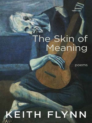 cover image of The Skin of Meaning